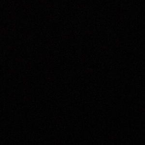 Meet your Posher, Evelyn